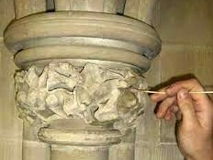 CONSERVATION SERVICES